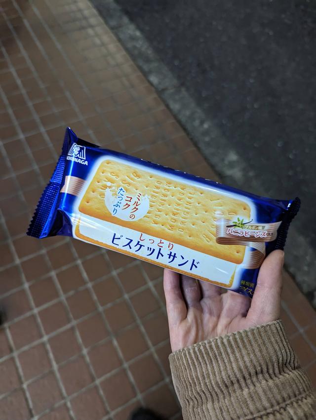 Morinaga vanilla ice cream sandwich
